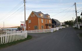 Trinity Eco-tours And Lodge